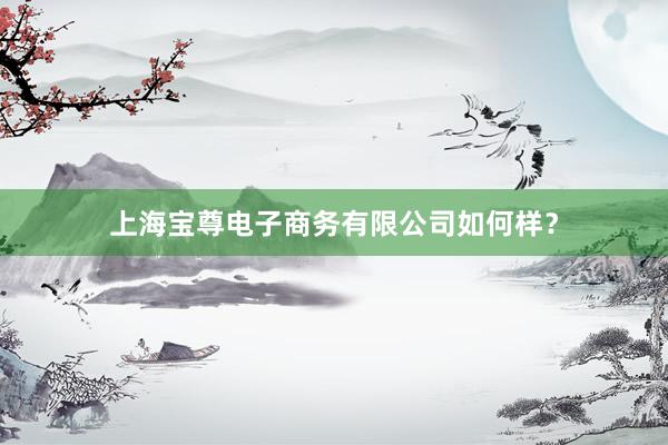 上海宝尊电子商务有限公司如何样？