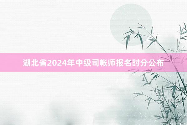 湖北省2024年中级司帐师报名时分公布