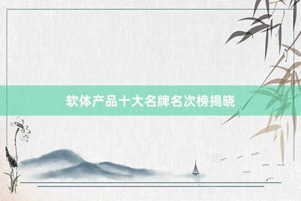 软体产品十大名牌名次榜揭晓